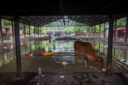 tagreuters.com2025binary_LYNXMPEL8306G-VIEWIMAGE