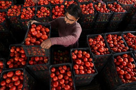 tagreuters.com2025binary_LYNXMPEL9M0OR-VIEWIMAGE