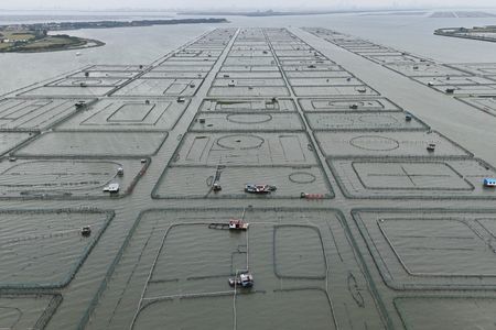 tagreuters.com2025binary_LYNXMPEL9Q07D-VIEWIMAGE