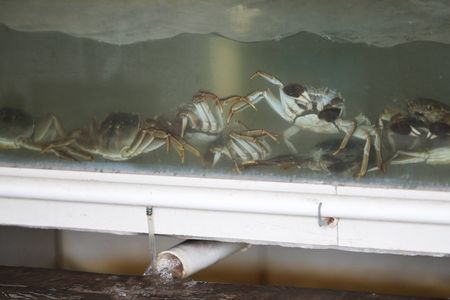 tagreuters.com2025binary_LYNXMPEL9Q08M-VIEWIMAGE