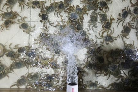 tagreuters.com2025binary_LYNXMPEL9Q08P-VIEWIMAGE