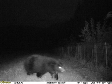 tagreuters.com2025binary_LYNXMPELAH01X-VIEWIMAGE