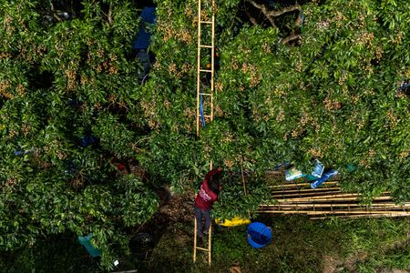 tagreuters.com2025binary_LYNXMPELAI01F-VIEWIMAGE