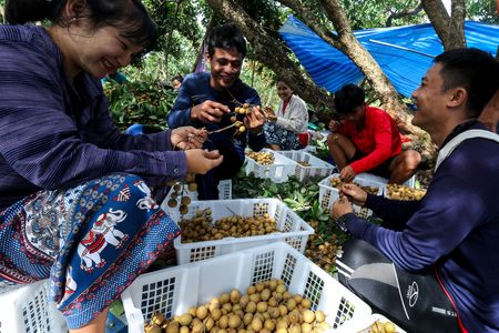 tagreuters.com2025binary_LYNXMPELAI01H-VIEWIMAGE