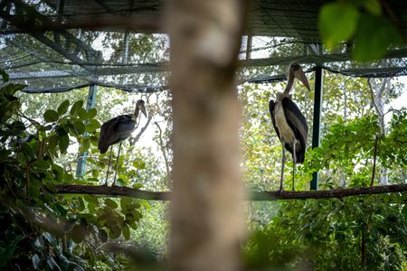 tagreuters.com2025binary_LYNXMPELAJ01I-VIEWIMAGE