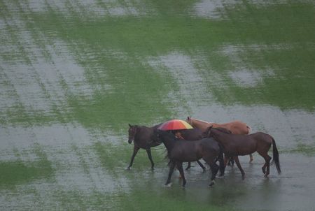 tagreuters.com2025binary_LYNXMPELAN03U-VIEWIMAGE