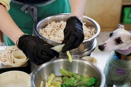 tagreuters.com2025binary_LYNXNPEL0O04T-VIEWIMAGE