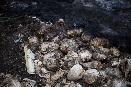 tagreuters.com2025binary_LYNXNPEL2R05N-VIEWIMAGE