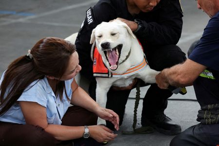 tagreuters.com2025binary_LYNXNPEL310SR-VIEWIMAGE