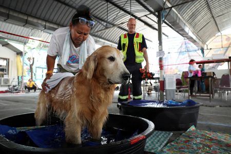 tagreuters.com2025binary_LYNXNPEL310SS-VIEWIMAGE