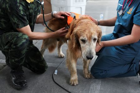 tagreuters.com2025binary_LYNXNPEL310SV-VIEWIMAGE