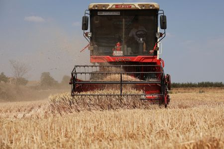 tagreuters.com2025binary_LYNXNPEL53079-VIEWIMAGE