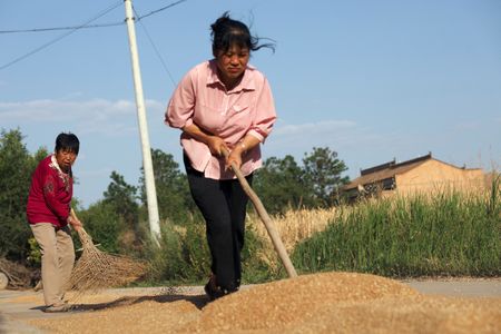 tagreuters.com2025binary_LYNXNPEL5307H-VIEWIMAGE