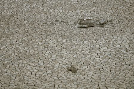 tagreuters.com2025binary_LYNXNPEL5307I-VIEWIMAGE