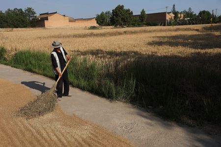 tagreuters.com2025binary_LYNXNPEL5307R-VIEWIMAGE