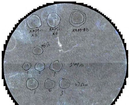tagreuters.com2025binary_LYNXNPEL550VH-VIEWIMAGE