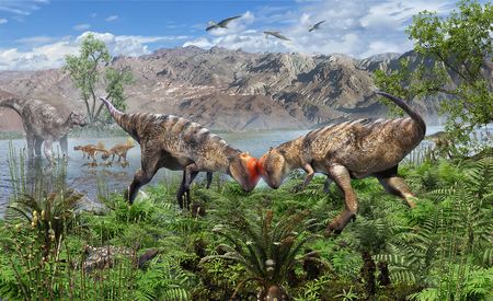 tagreuters.com2025binary_LYNXNPEL8G0OT-VIEWIMAGE