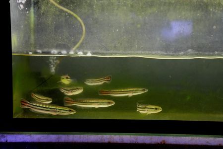 tagreuters.com2025binary_LYNXNPEL8L076-VIEWIMAGE