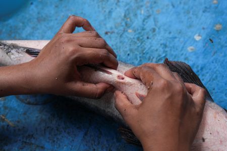 tagreuters.com2025binary_LYNXNPEL8L07X-VIEWIMAGE