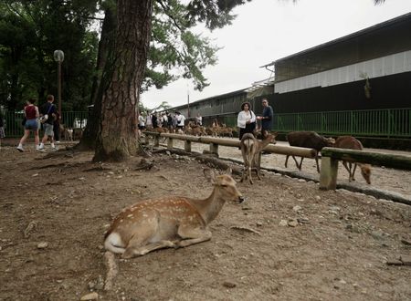 tagreuters.com2025binary_LYNXNPEL9603F-VIEWIMAGE