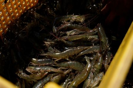 tagreuters.com2025binary_LYNXMPEL3D01V-VIEWIMAGE