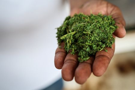 tagreuters.com2025binary_LYNXMPEL830BR-VIEWIMAGE