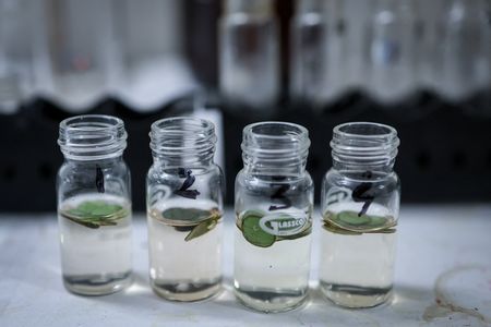 tagreuters.com2025binary_LYNXMPEL830BY-VIEWIMAGE