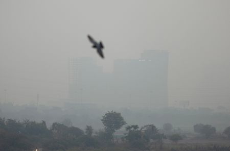 tagreuters.com2025binary_LYNXMPEL9R0II-VIEWIMAGE