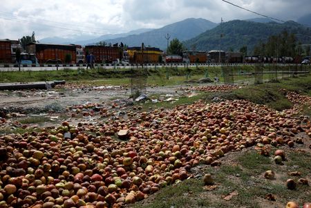 tagreuters.com2025binary_LYNXNPEL8A0E0-VIEWIMAGE