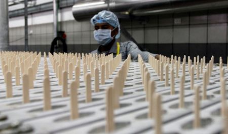 tagreuters.com2025binary_LYNXNPEL8P058-VIEWIMAGE