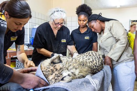 tagreuters.com2022binary_LYNXMPEI8G01K-VIEWIMAGE