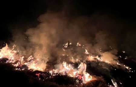 tagreuters.com2022binary_LYNXMPEIA709W-VIEWIMAGE