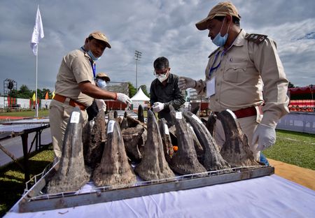 tagreuters.com2023binary_LYNXMPEJ080H9-VIEWIMAGE