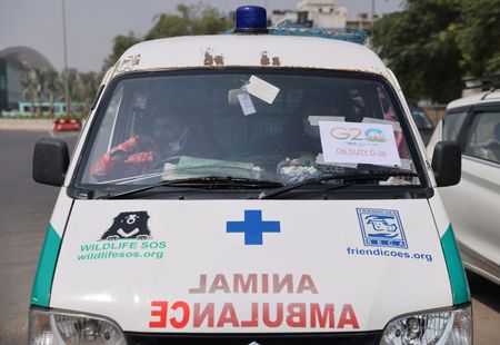 tagreuters.com2023binary_LYNXMPEJ860DH-VIEWIMAGE