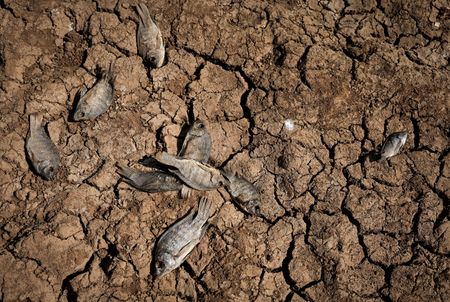 tagreuters.com2024binary_LYNXMPEK4D0D4-VIEWIMAGE