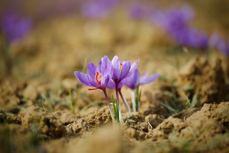 tagreuters.com2025binary_LYNXMPEL0E0HO-VIEWIMAGE