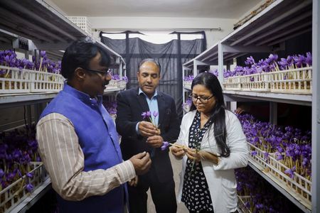 tagreuters.com2025binary_LYNXMPEL0E0M1-VIEWIMAGE