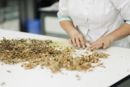 tagreuters.com2022binary_LYNXMPEI9703L-VIEWIMAGE