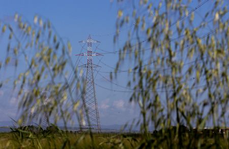 tagreuters.com2024binary_LYNXMPEK0L0GC-VIEWIMAGE