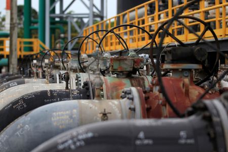 tagreuters.com2024binary_LYNXMPEKBJ0D7-VIEWIMAGE