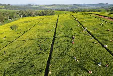 tagreuters.com2025binary_LYNXMPEL3G081-VIEWIMAGE