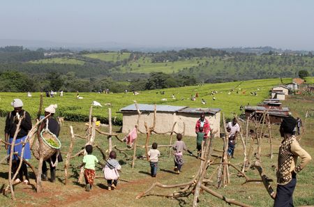 tagreuters.com2025binary_LYNXMPEL3G082-VIEWIMAGE