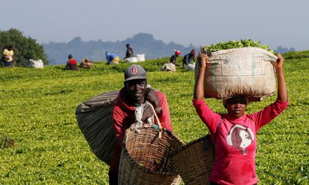 tagreuters.com2025binary_LYNXMPEL3G083-VIEWIMAGE