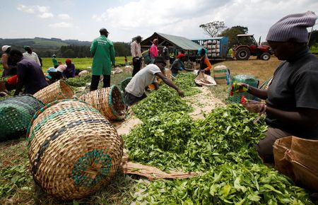 tagreuters.com2025binary_LYNXMPEL3G085-VIEWIMAGE