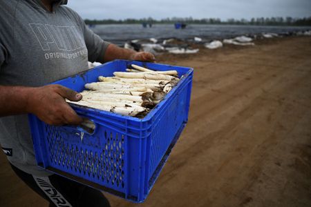 tagreuters.com2025binary_LYNXMPEL470D3-VIEWIMAGE