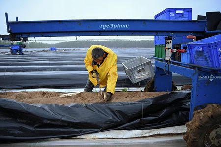 tagreuters.com2025binary_LYNXMPEL470D4-VIEWIMAGE