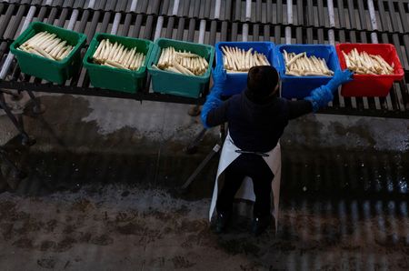 tagreuters.com2025binary_LYNXMPEL470D5-VIEWIMAGE