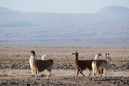 tagreuters.com2025binary_LYNXMPEL4K0UT-VIEWIMAGE