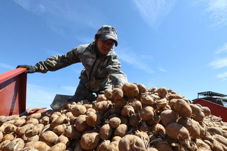 tagreuters.com2025binary_LYNXMPEL590JF-VIEWIMAGE