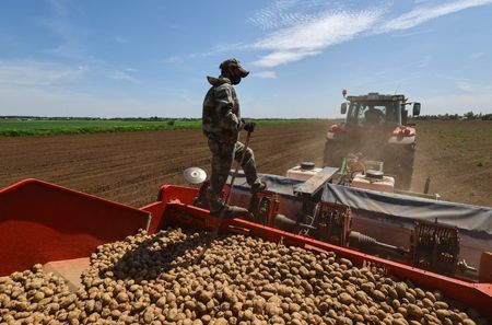 tagreuters.com2025binary_LYNXMPEL590JH-VIEWIMAGE